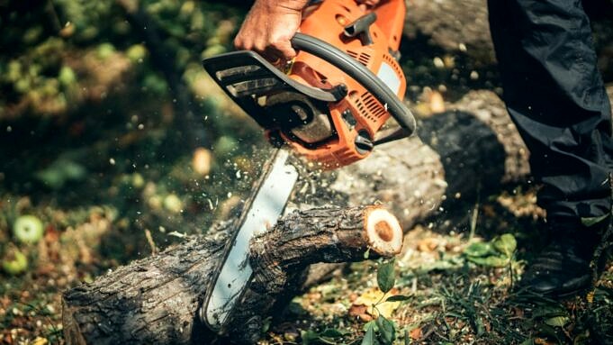 7 Best Chainsaws For Farm Use In 2022 Reviews